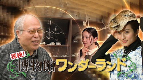 探検！博物館ワンダーランド